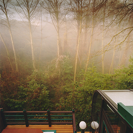 Christensen House, Seattle. Deck view of Wolf Creek Ravine in morning mist